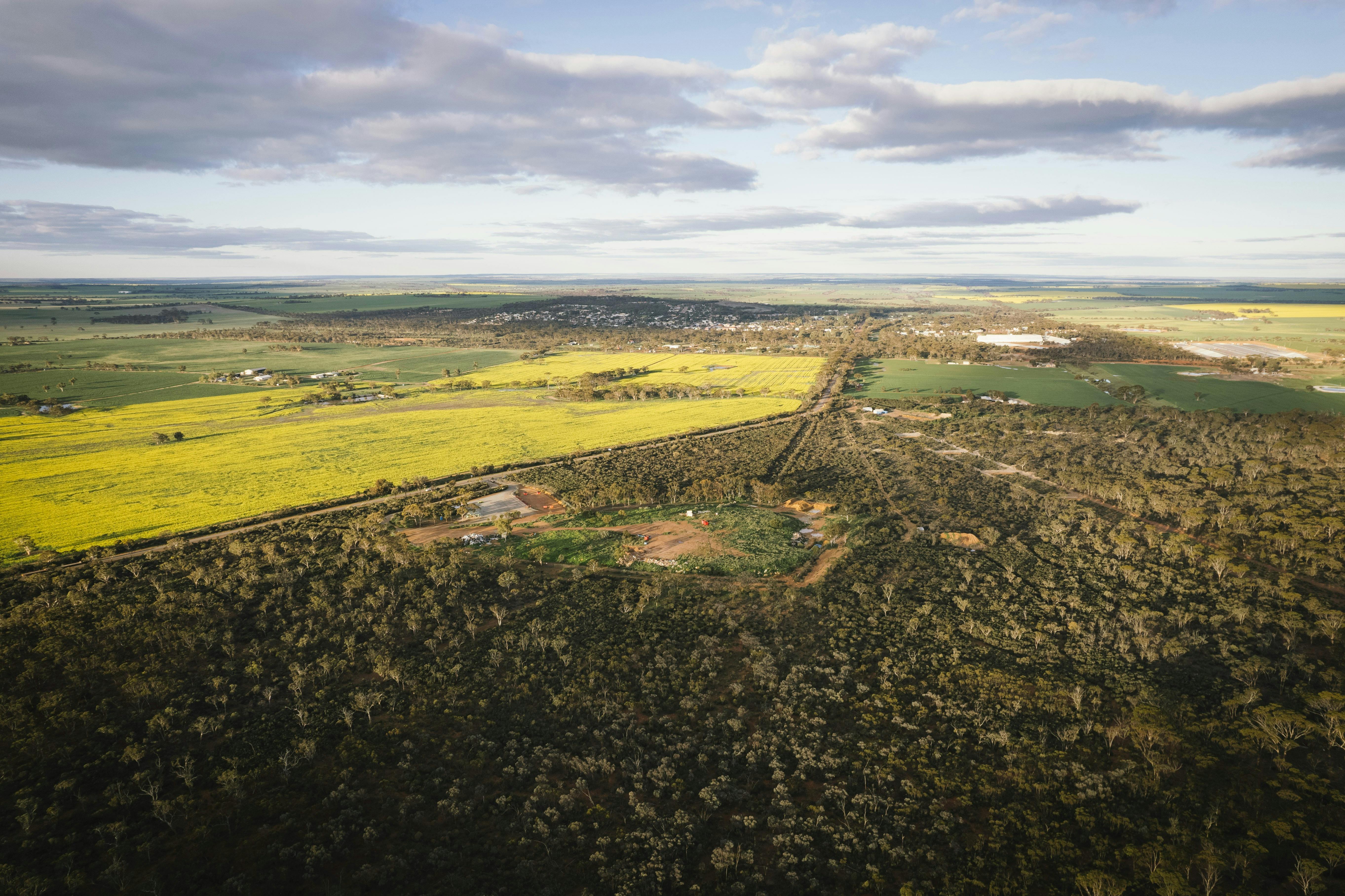 Lew's Lookout