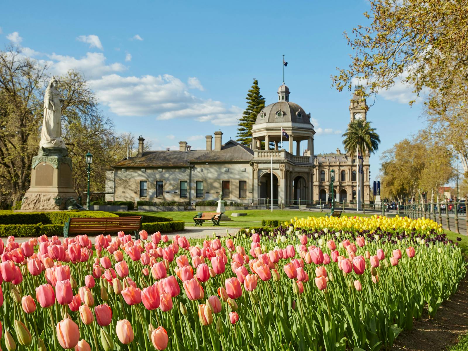 Image for Bendigo Annual Tulips Display