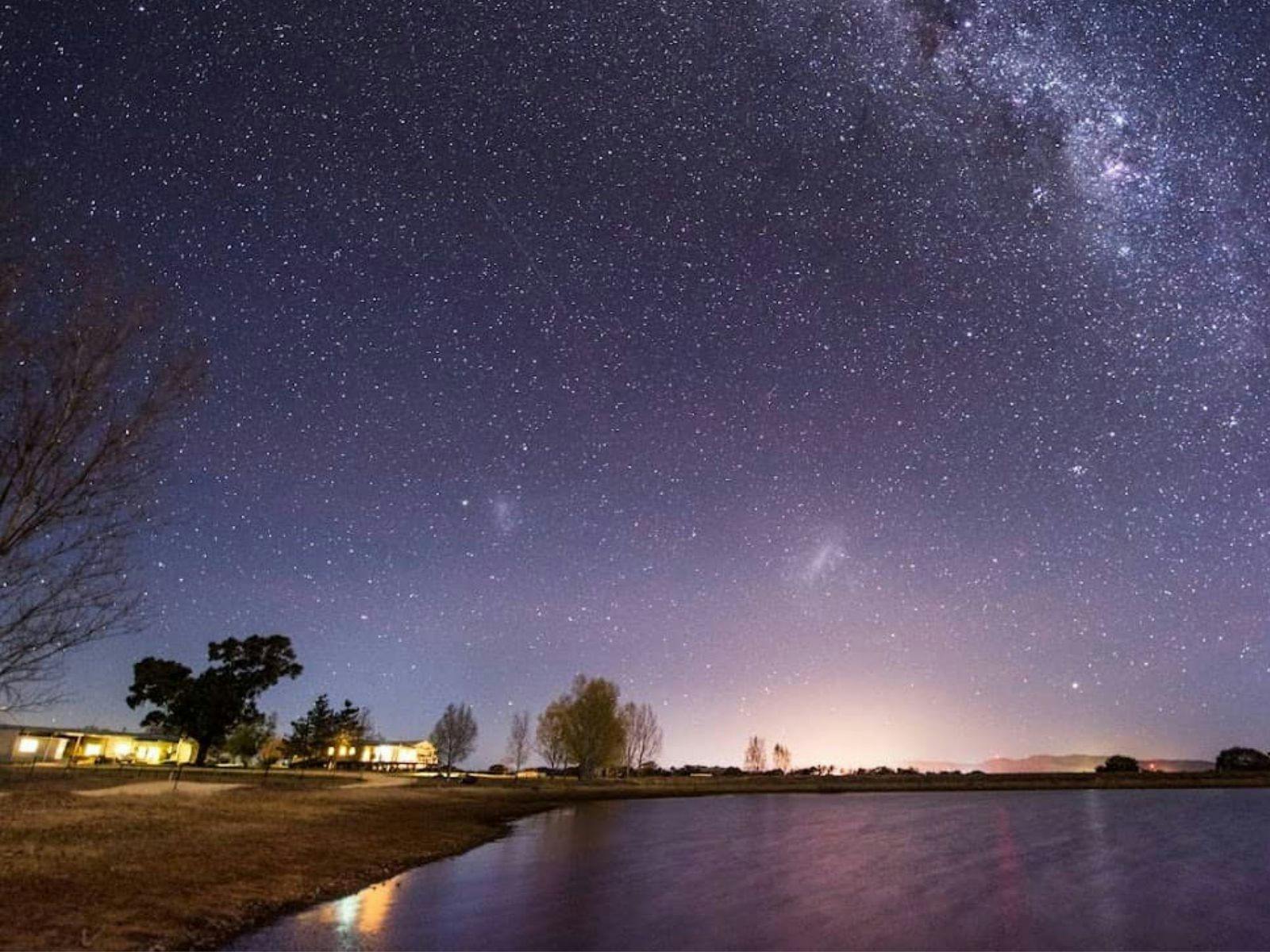 Peppertree Collection