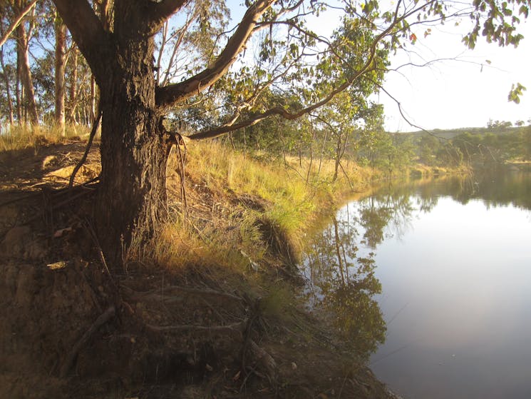 Dam and Jetty