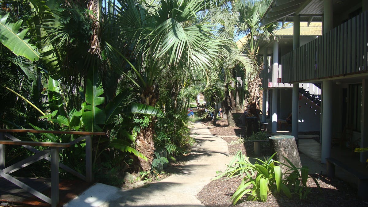 base airlie beach backpackers