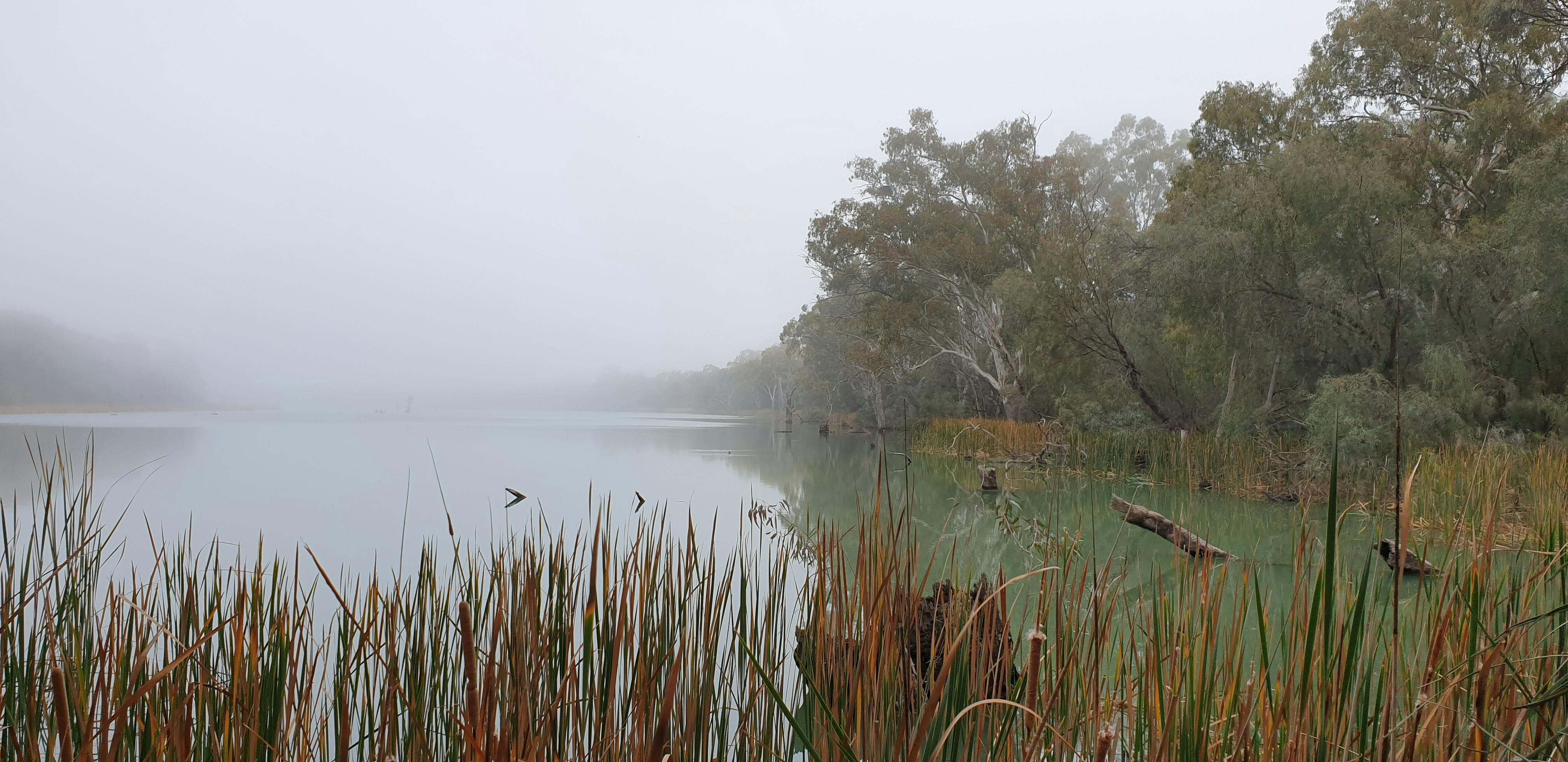 Sunrise Canoe and Breakfast Experience
