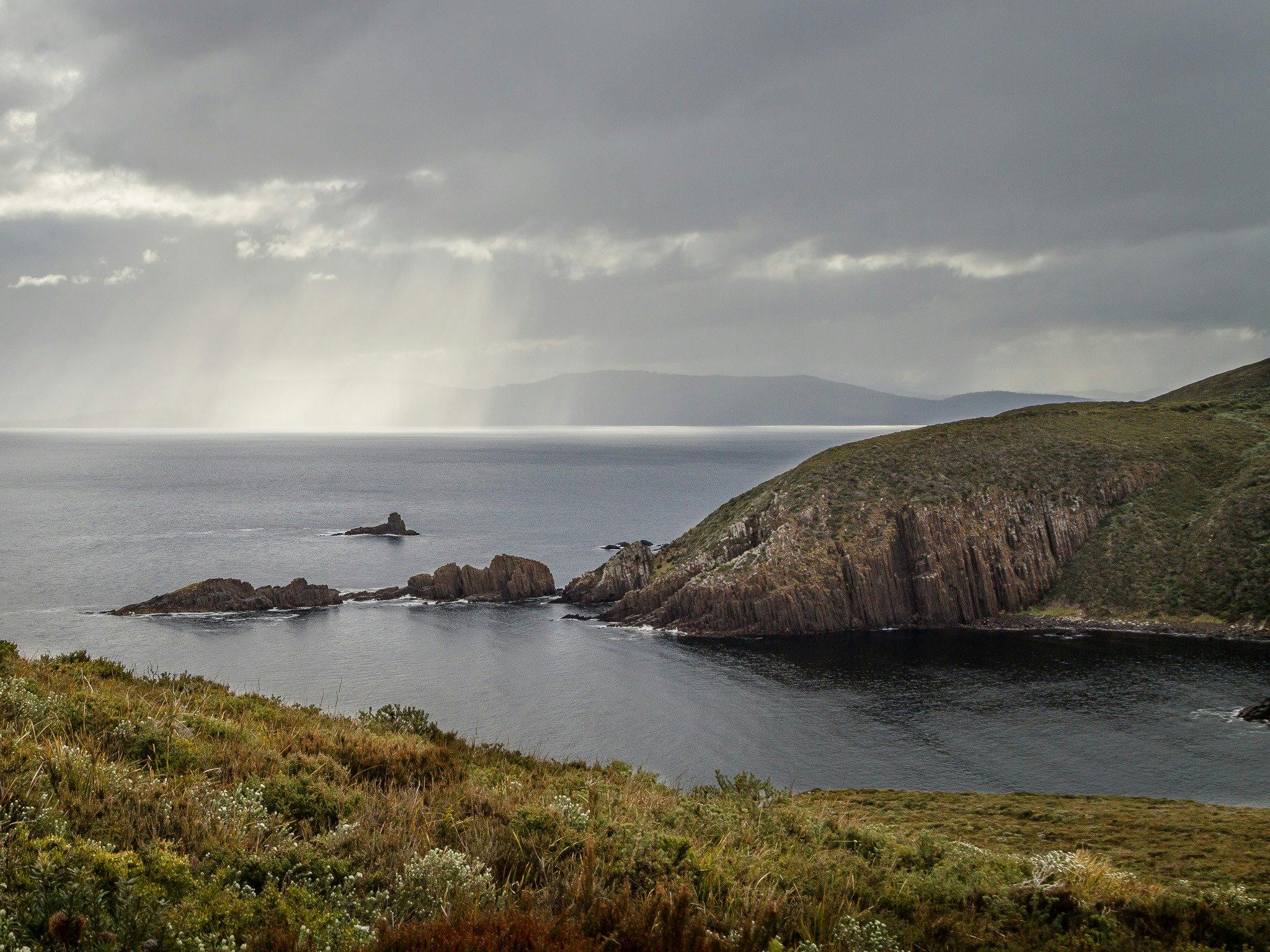 Foreground of hill, looking out to Cape Bruny cliffs surrounded by water.