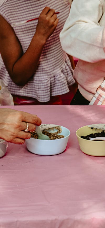 An image of potion ingredients on a table, with kids hands taking the ingredients.