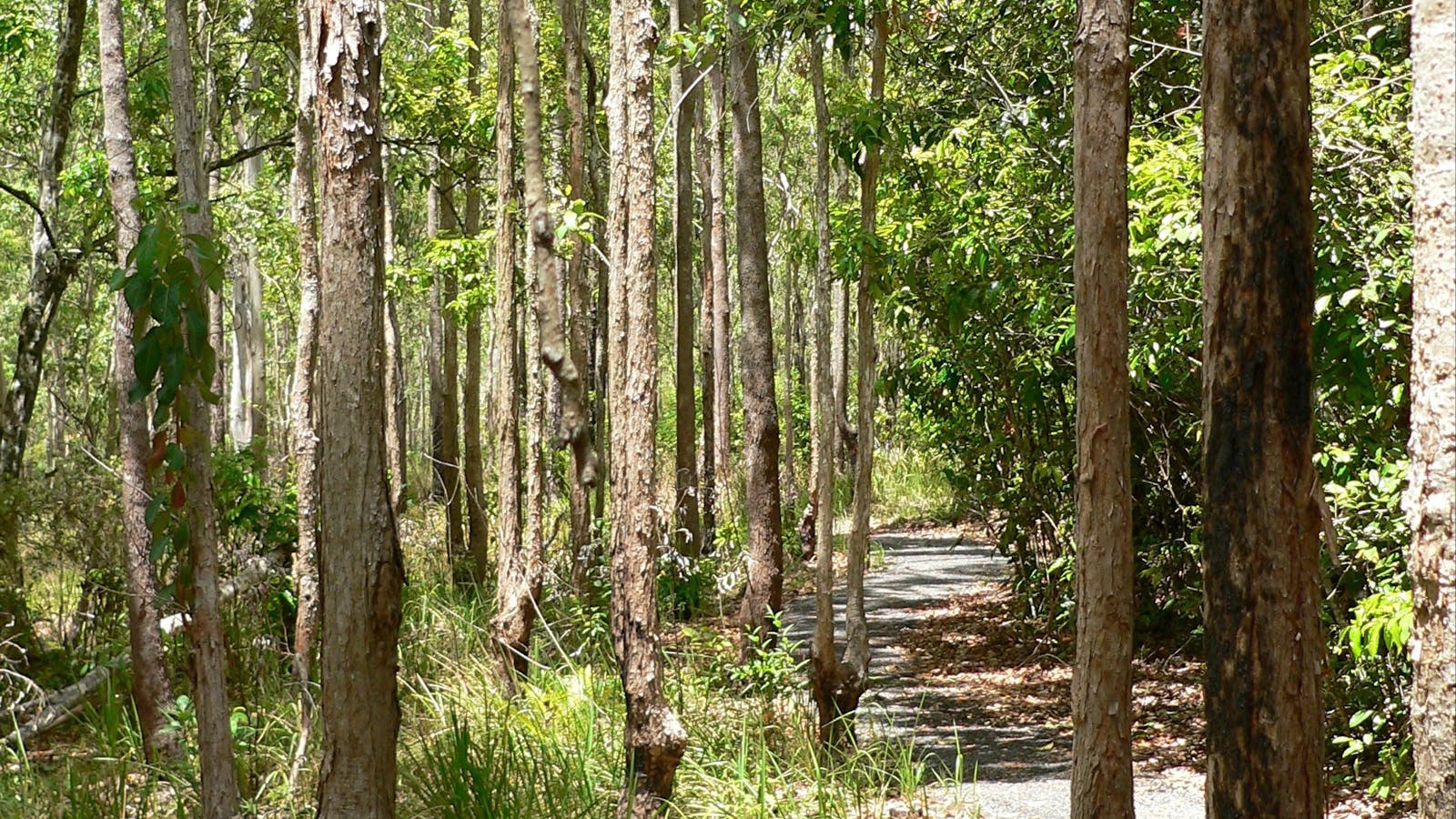 Hallorans Hill Conservation Park