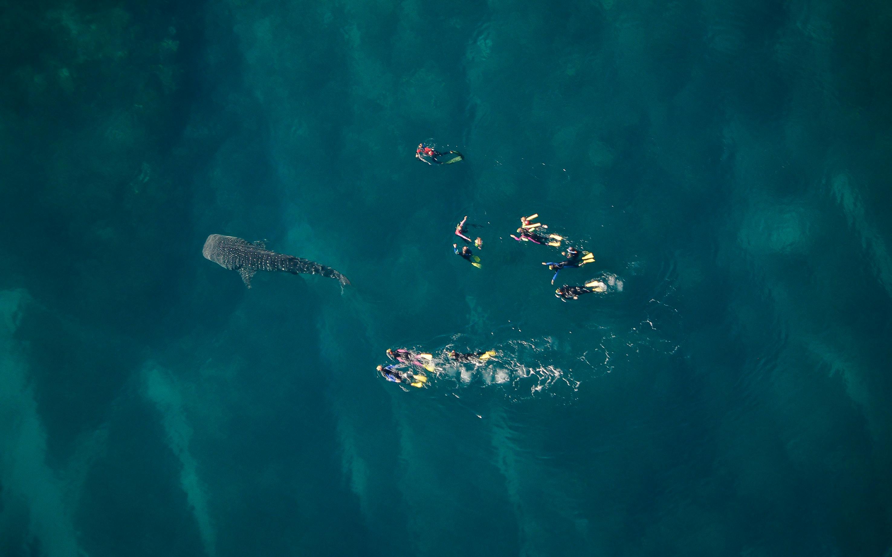 Ningaloo Aviation, Exmouth, Western Australia