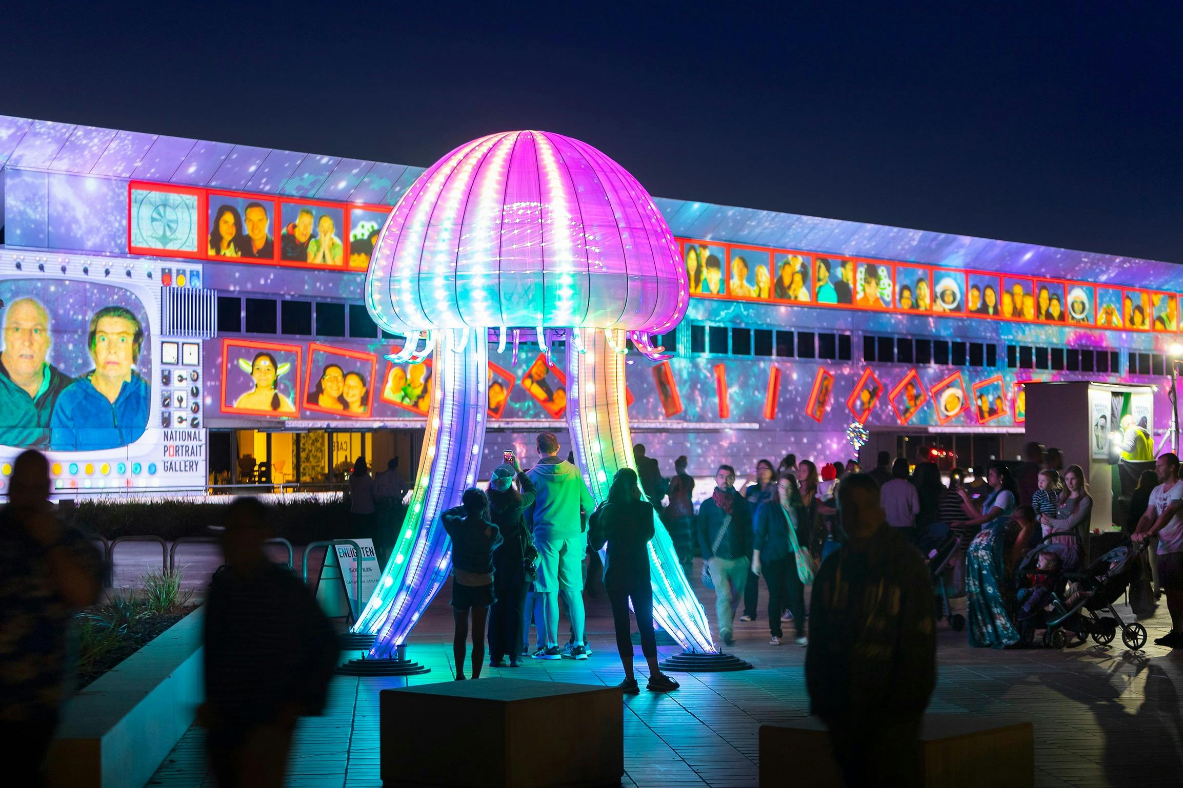 Jellyfish illuminated