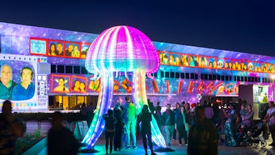 Jellyfish illuminated