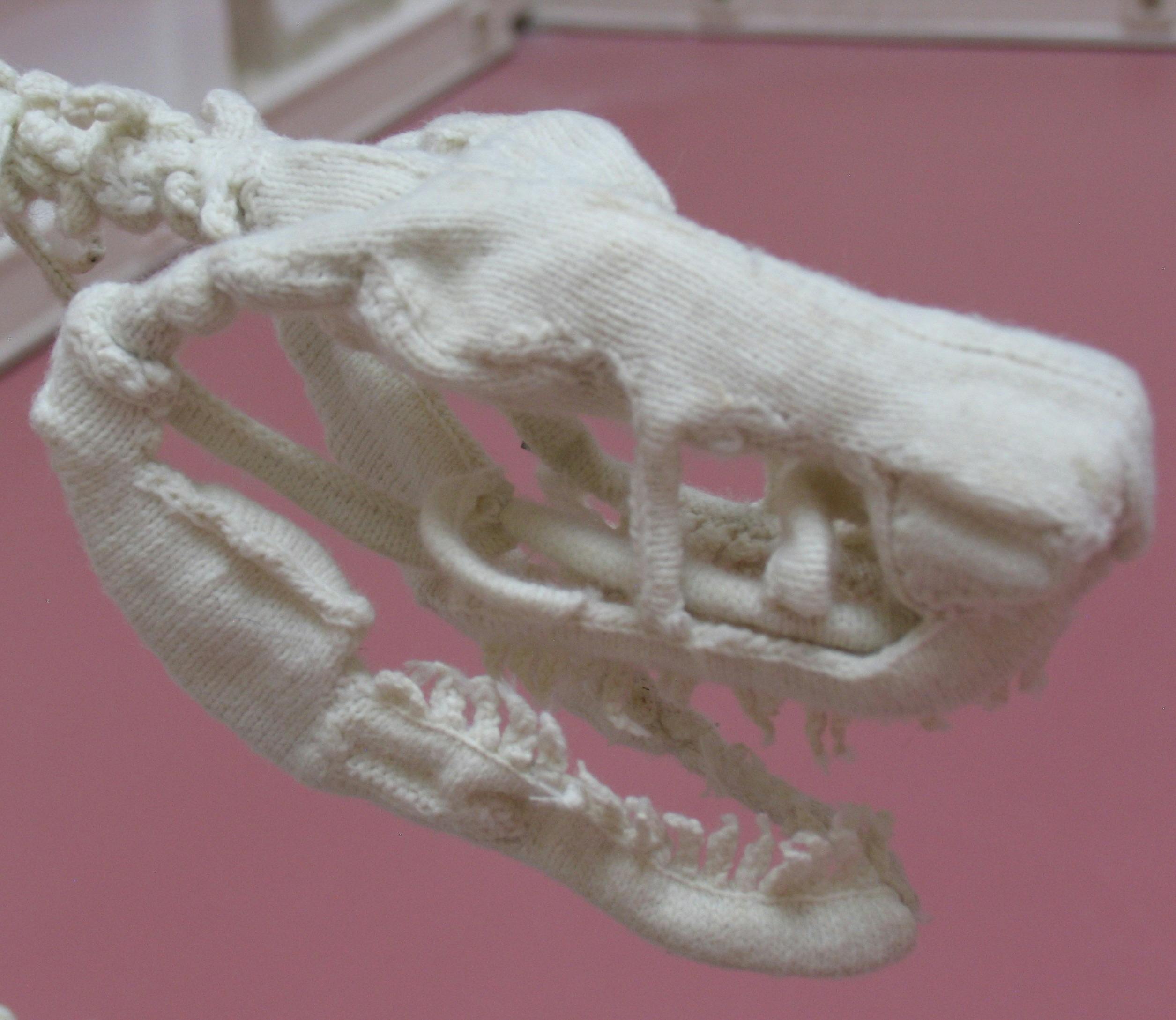 Michele Beevors: Anatomy Lessons Exhibition