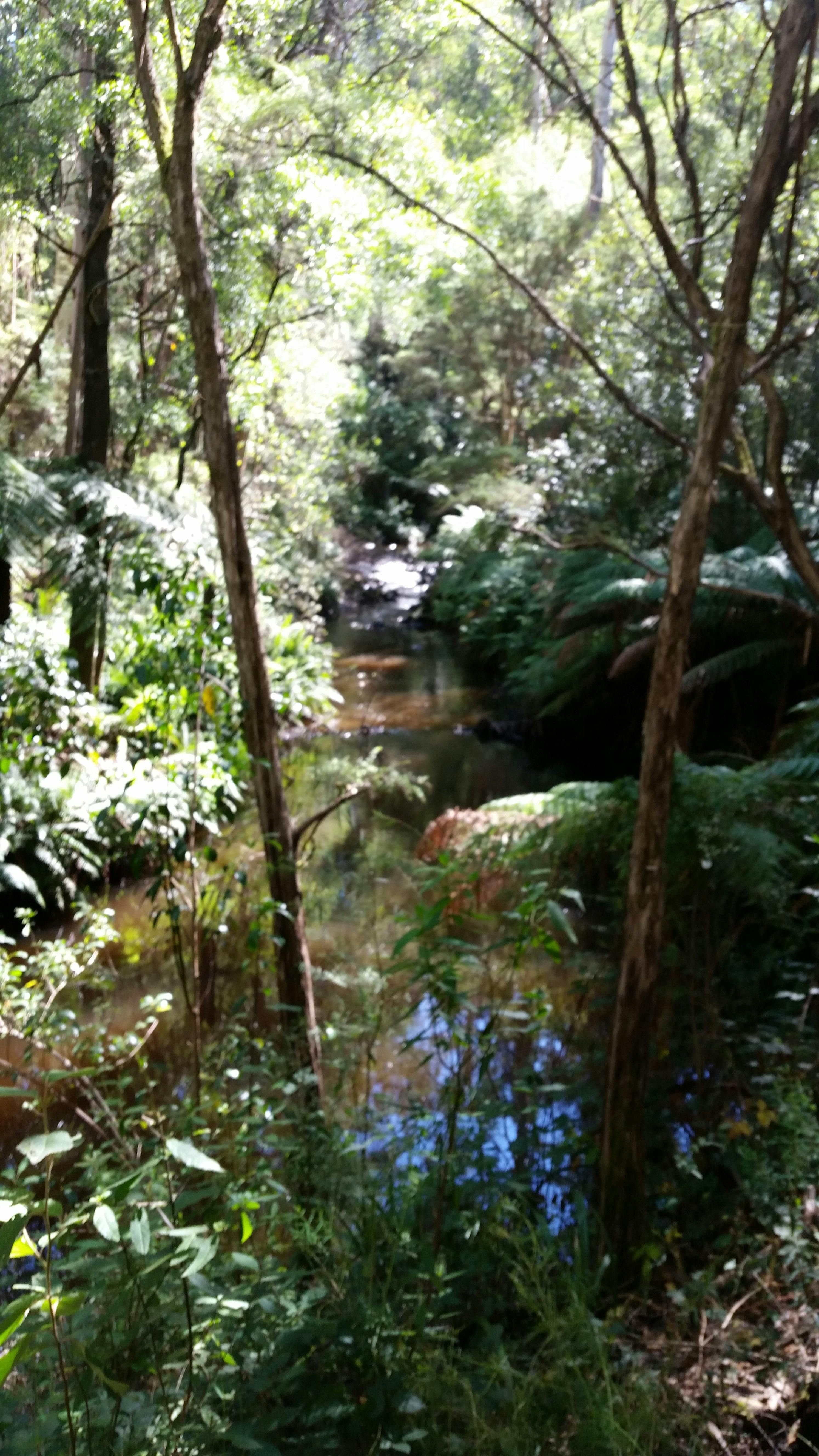 Tyres River Fly Fishing