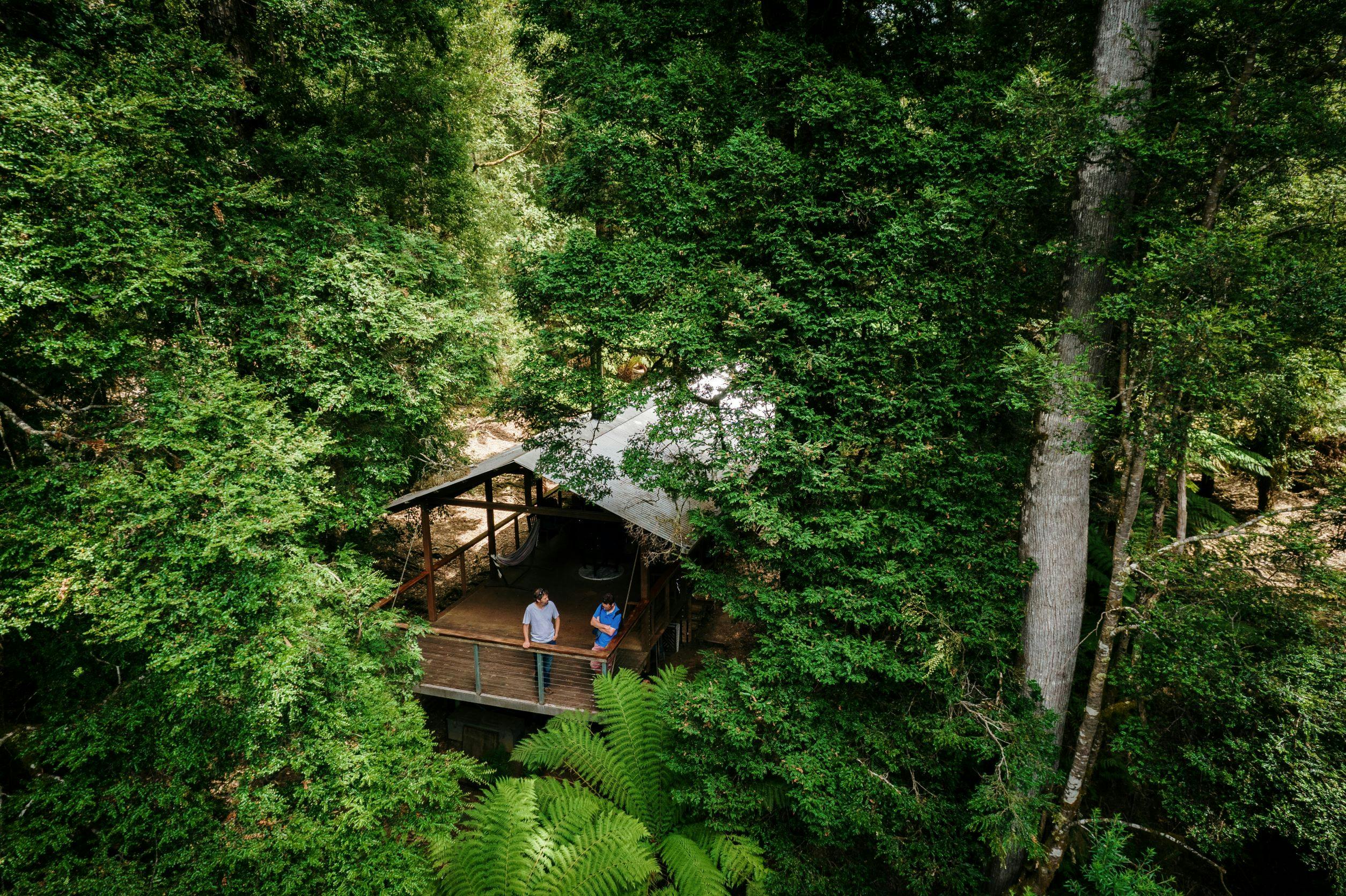 Four Day Tarkine Rainforest Experience