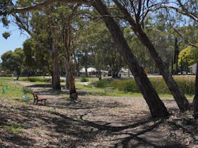 Gum tree lined Belalie Creek - with the Diggers' Walk , Jamestown