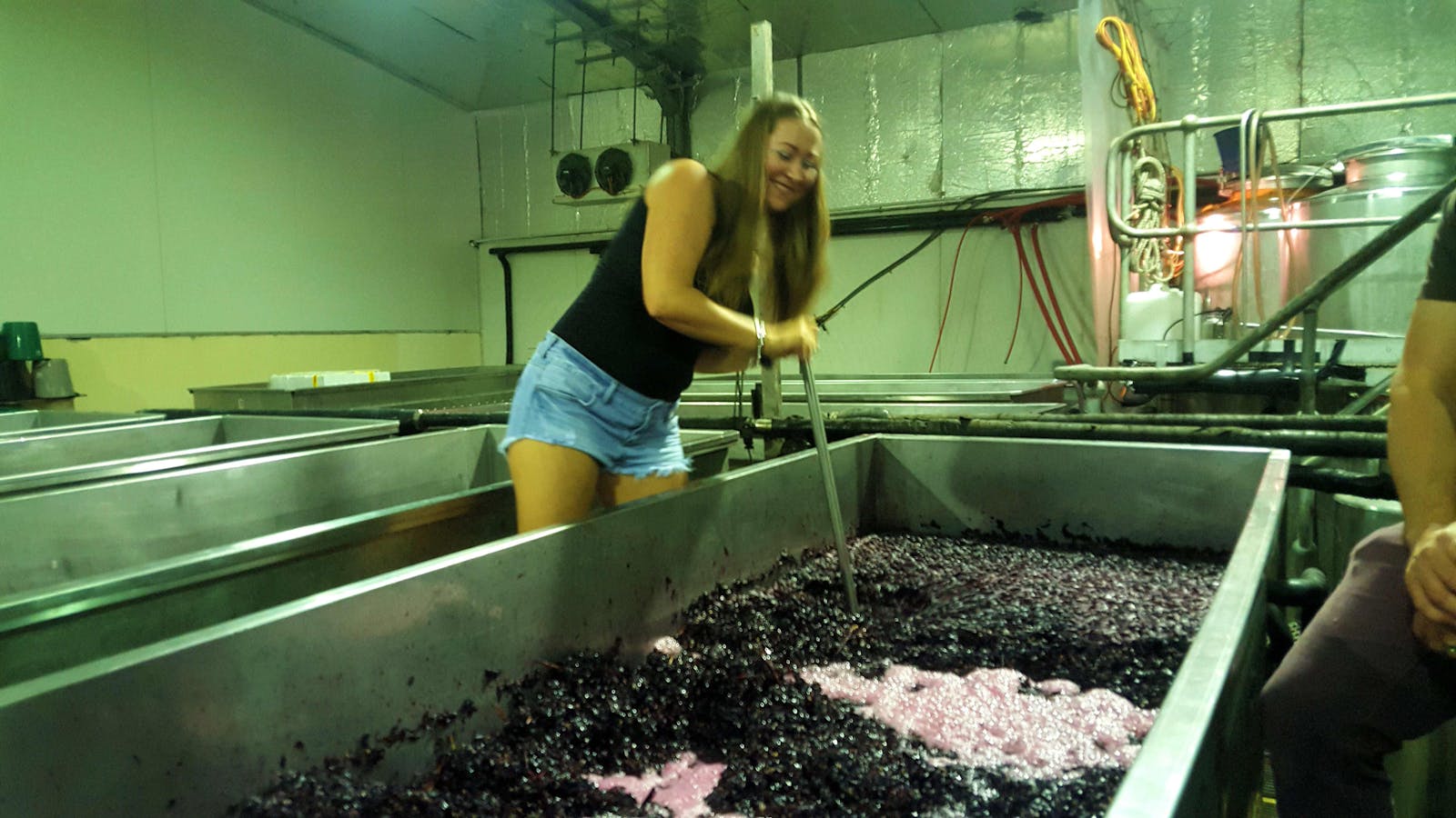 Grape Crushing and steering