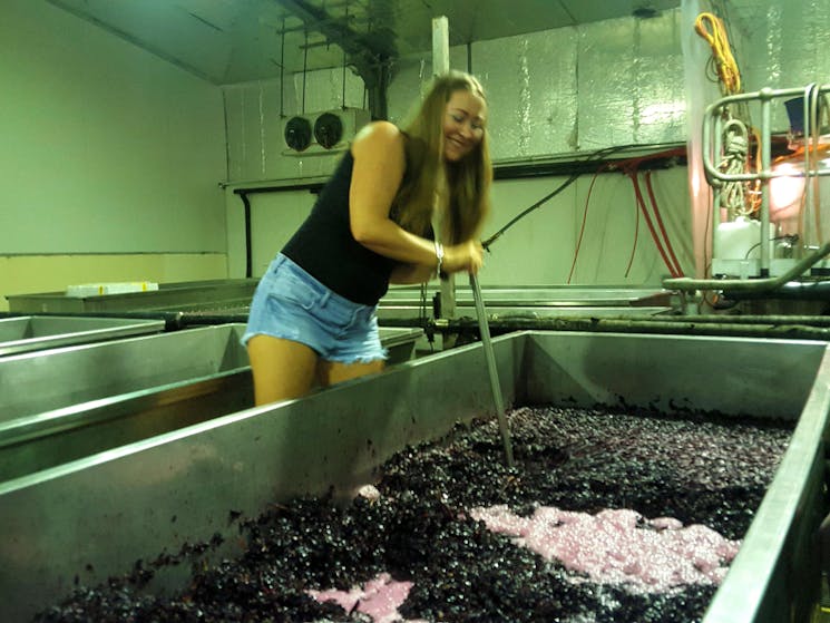 Grape Crushing and steering