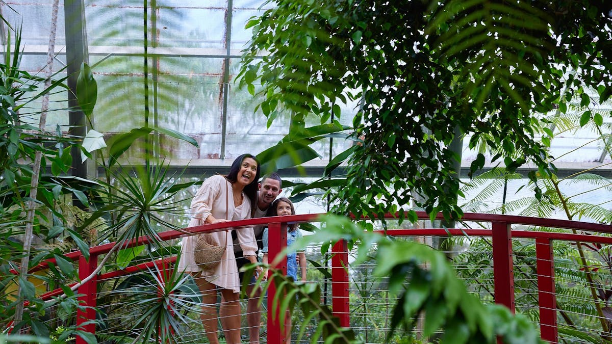 Family having fun stood on the Red Bridge at Australian Butterfly Sanctuary, Kuranda