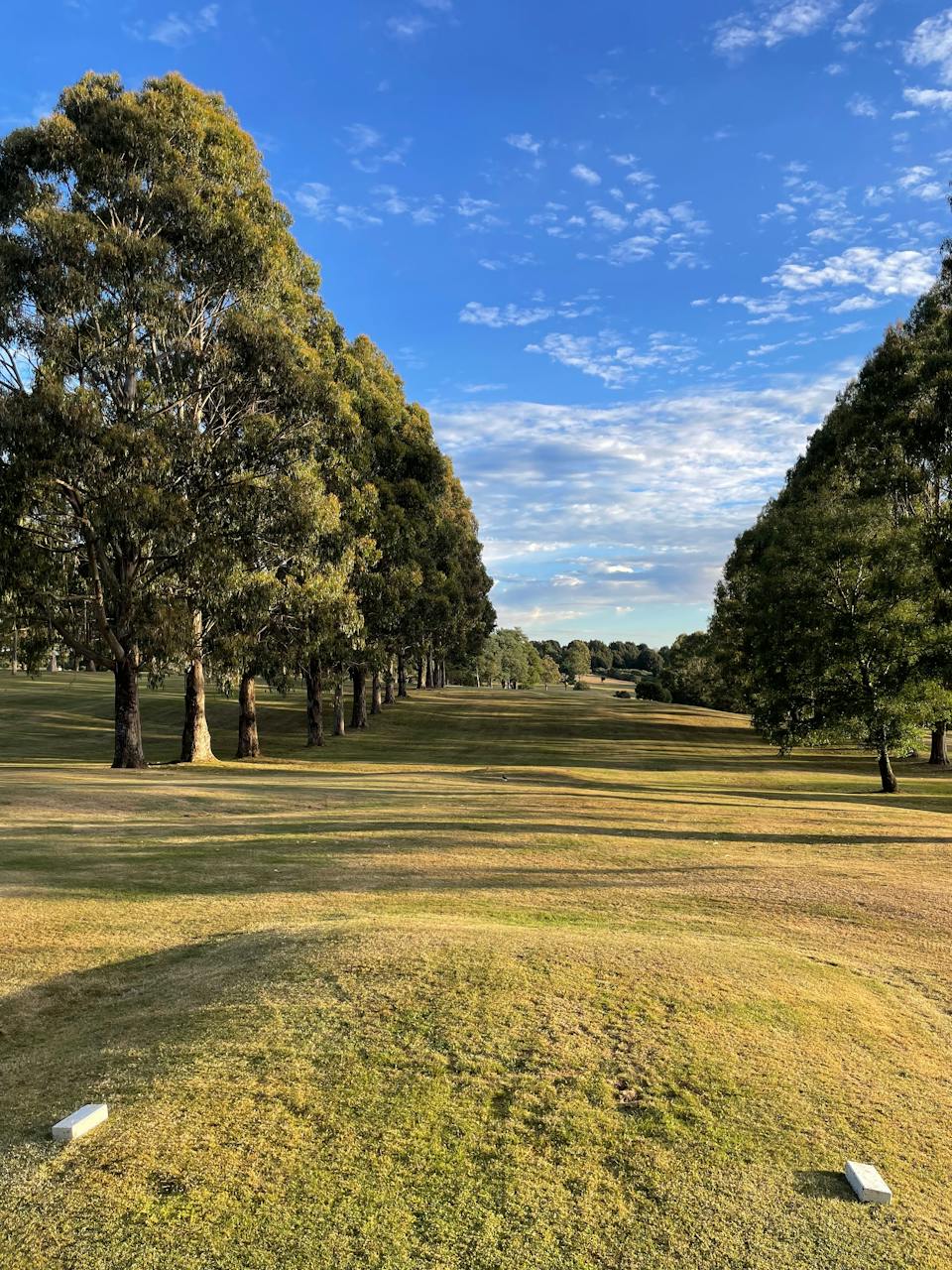 Mountain Vista Golf Club photo