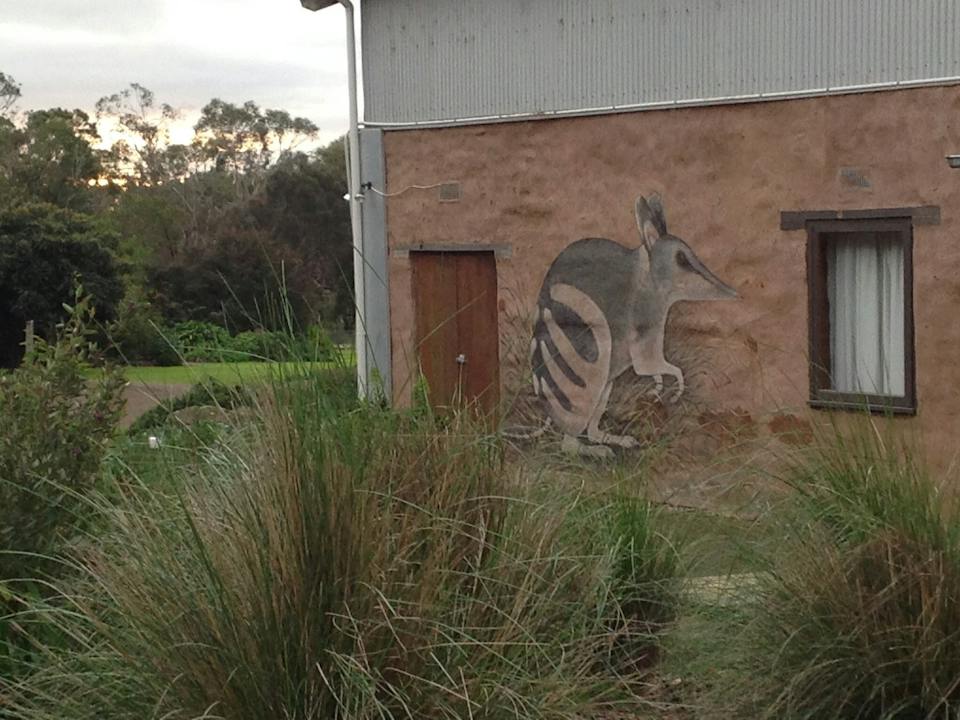 Maginiccent HIRL mural by Renowned local wildlife artist Roger Edwards