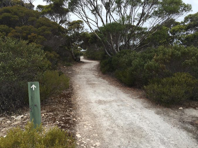 ThomsonPfitzner Plaster Trail Hike