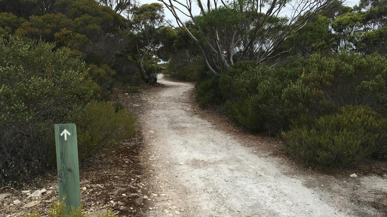 Thomson-Pfitzner Plaster Trail Hike