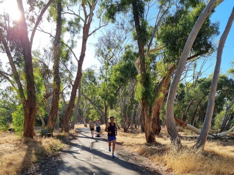 Echuca Moama ParkRun