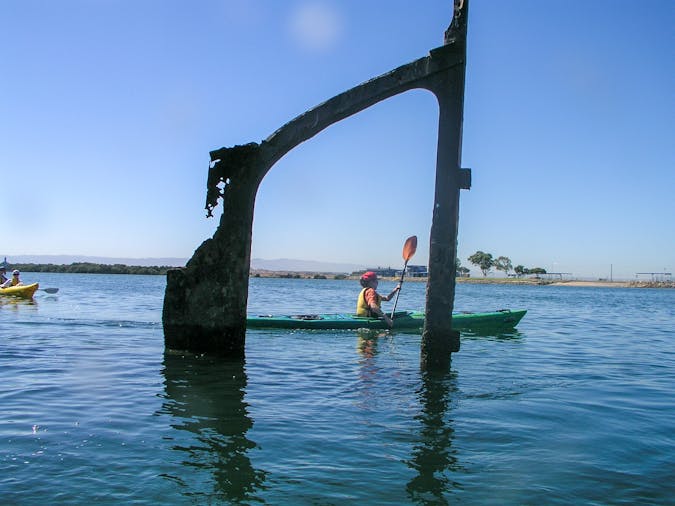 Mighty Yowies Dolphin and Ship Wreck Kayak Adventure Summer School Holidays