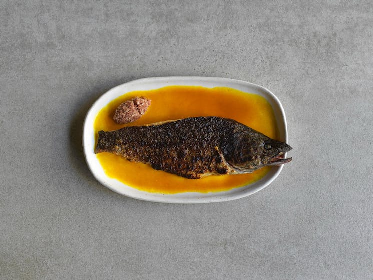 Murray Cod Masgouf