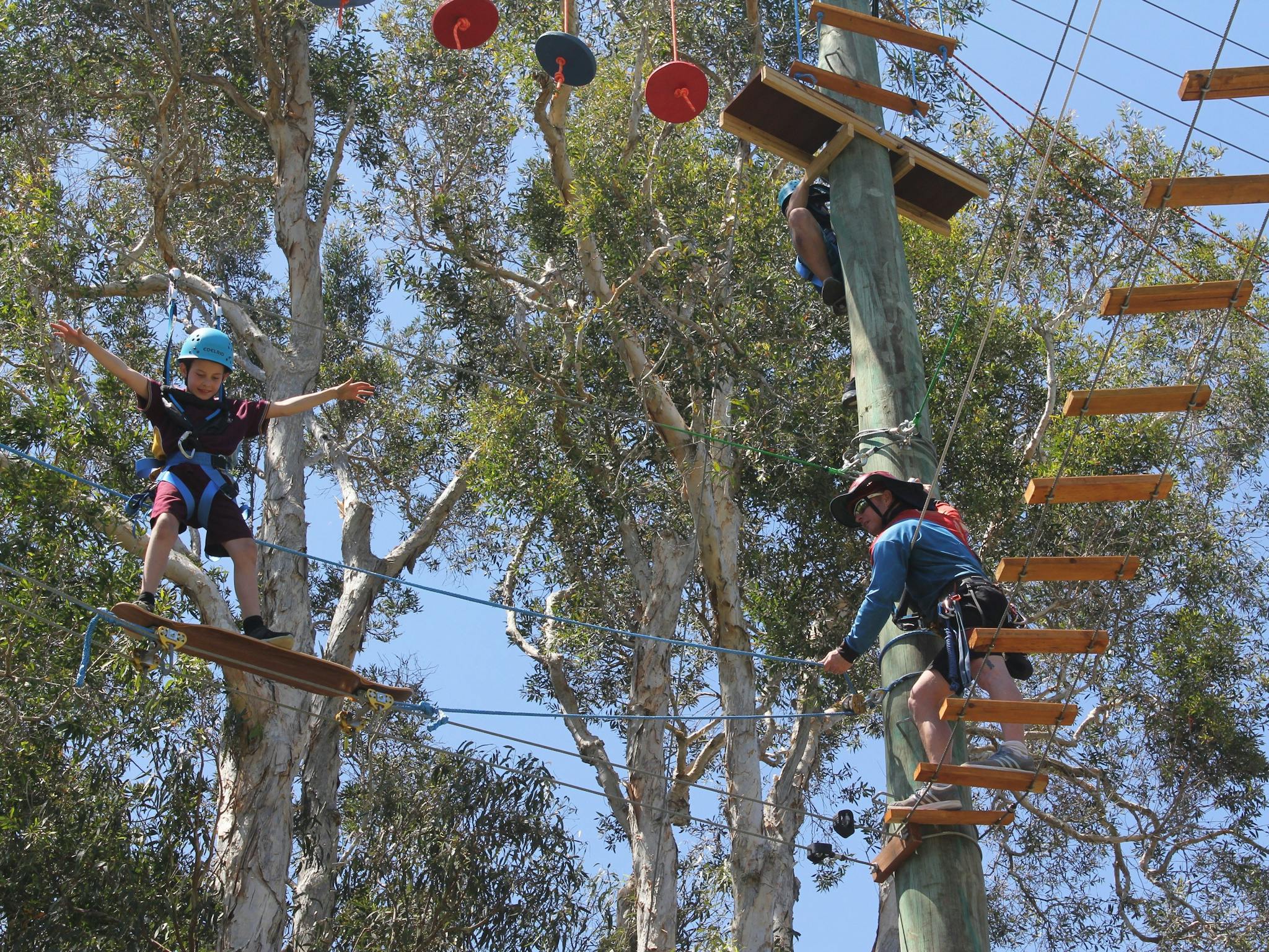 Apex Camps Sunshine Coast Corporate and Group Activities Maroochy