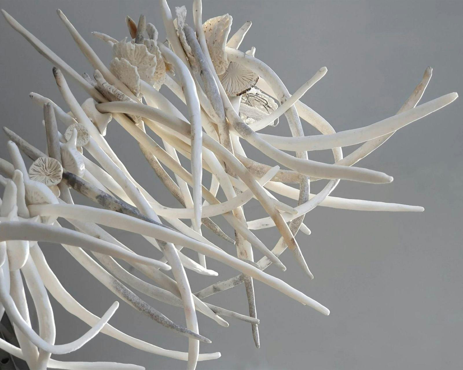 An artwork of ceramic objects assembled together to look like bones