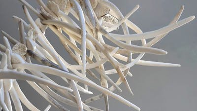 An artwork of ceramic objects assembled together to look like bones