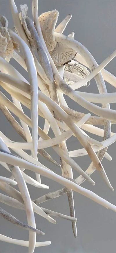 An artwork of ceramic objects assembled together to look like bones