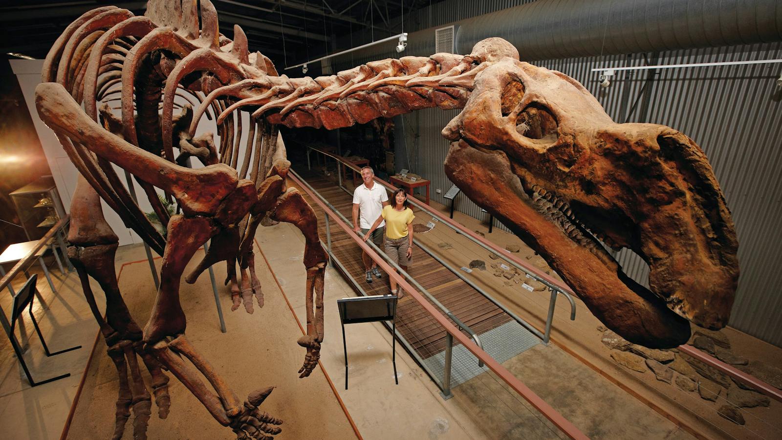 Hughie at Flinders Discovery Centre