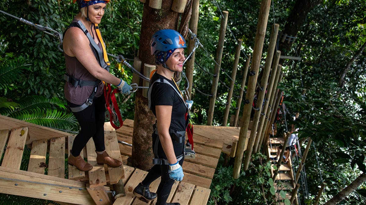 Ladies in tree canopy