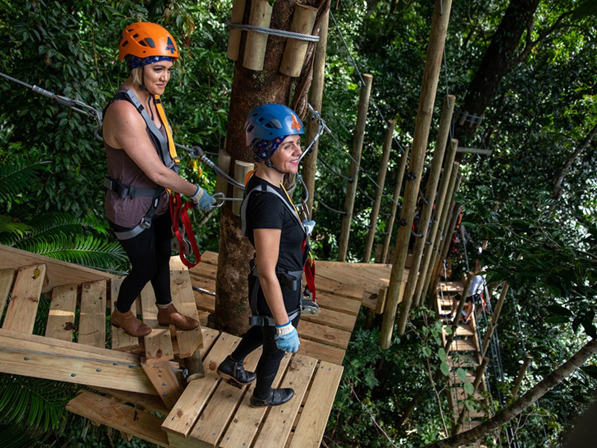 Ladies in tree canopy