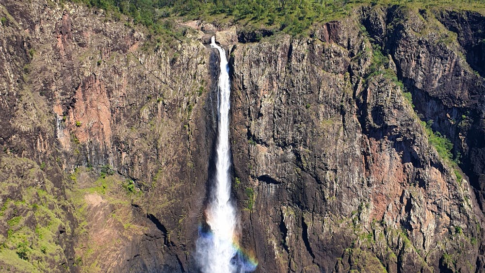 North Queensland Tours - World Heritage Rainforest