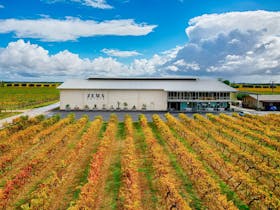 Vineyard with autumn leaves in coonawarra - zema estate winery in foreground