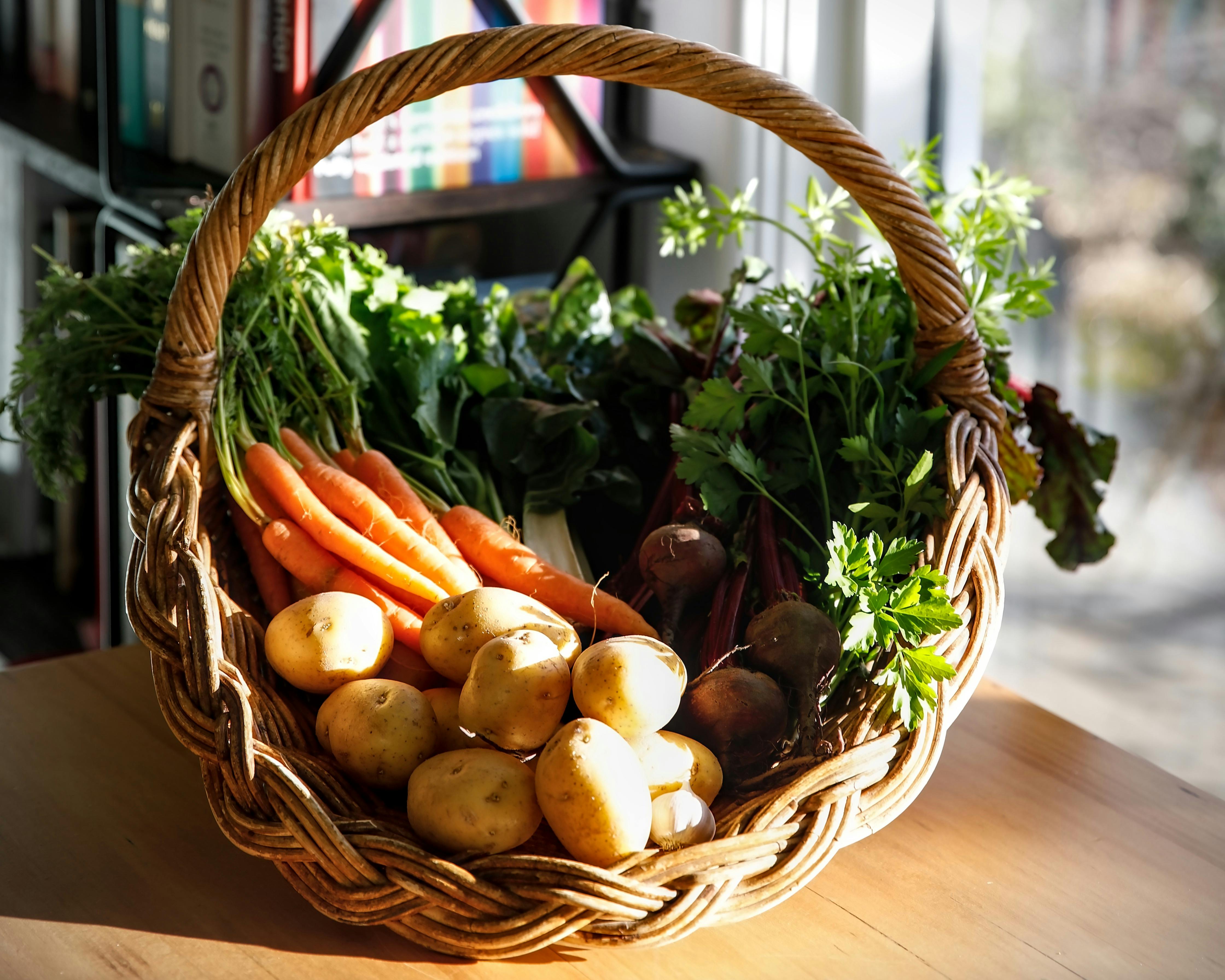 Basket of fresh carrots, silverbeet,  potatoes and beetroot grown in the Huon Valley, Tasmania.