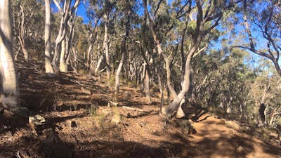 The landscape on Black Mountain