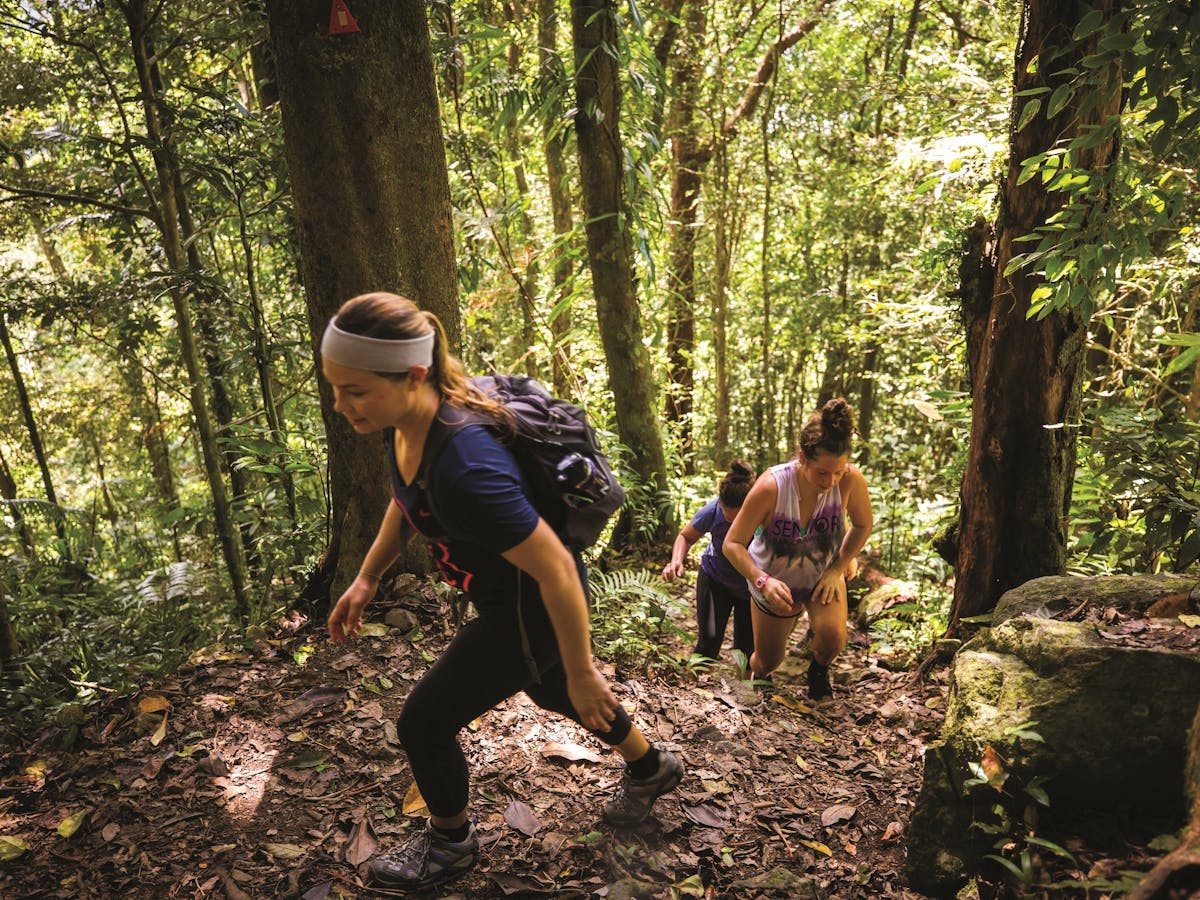 Mount Sorrow Ridge Trail
