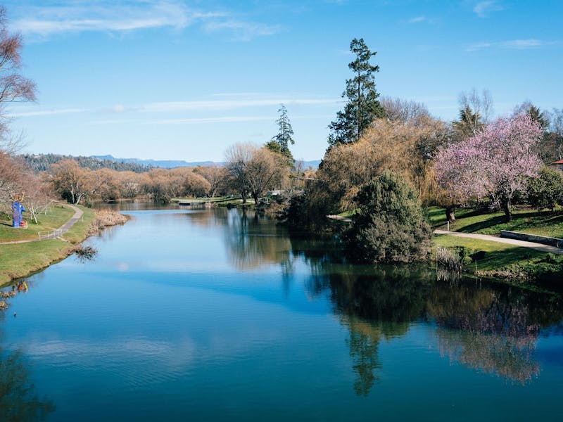 Meander River walking circuit at Deloraine