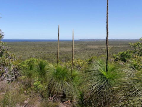 布羅德沃特內陸瞭望台