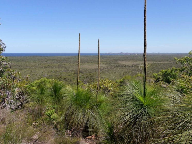Broadwater inland lookout, Broadwater National Park. Photo: L Walker