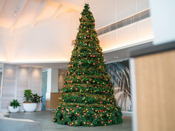 Christmas Day Dinner at Novotel Cairns Oasis Resort