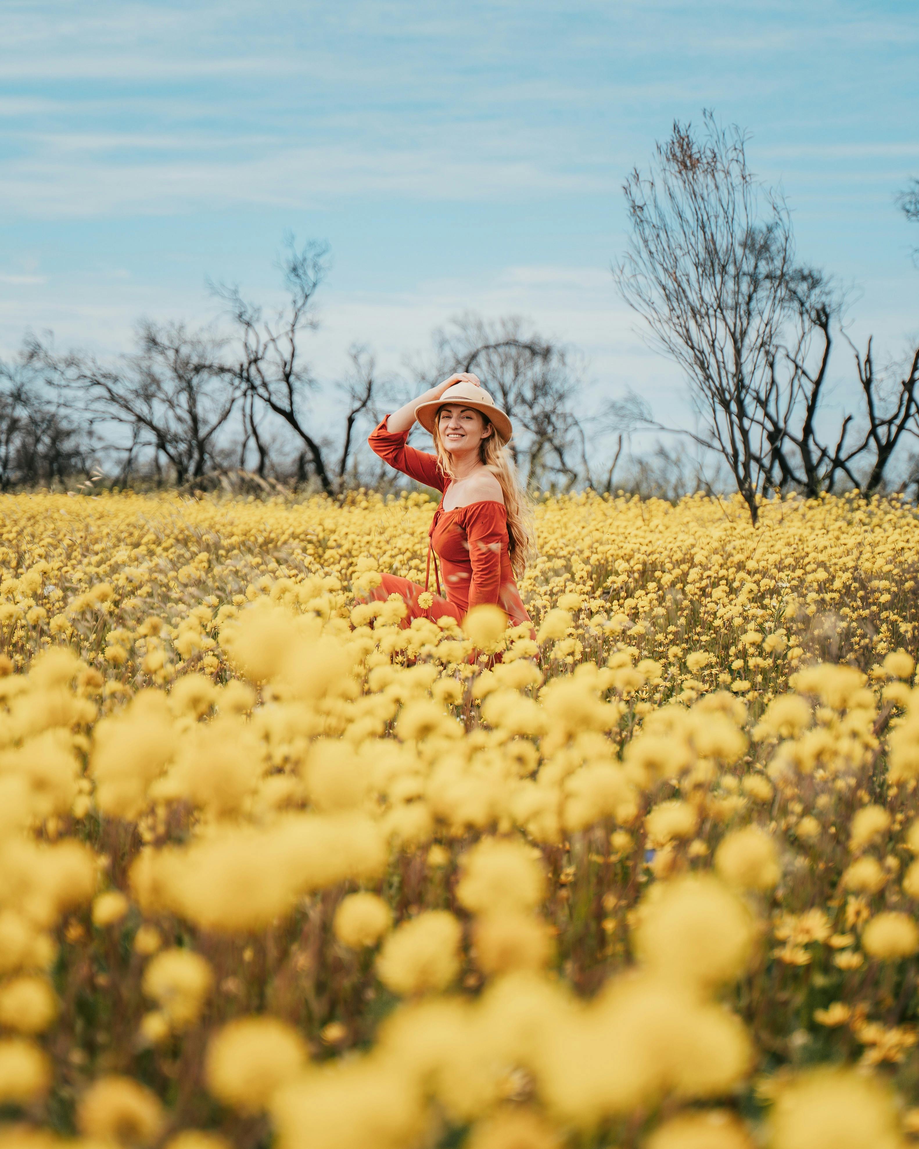 Best of the Mid West wildflower tour - Dongara, Mingenew, Geraldton