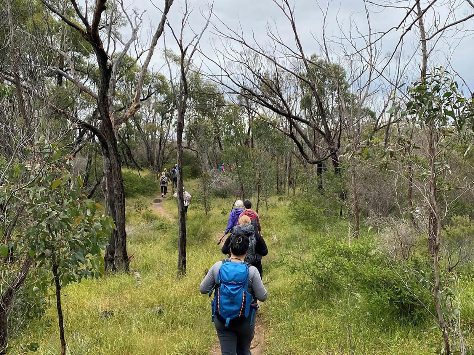 Walking in Spring Gully Clare
