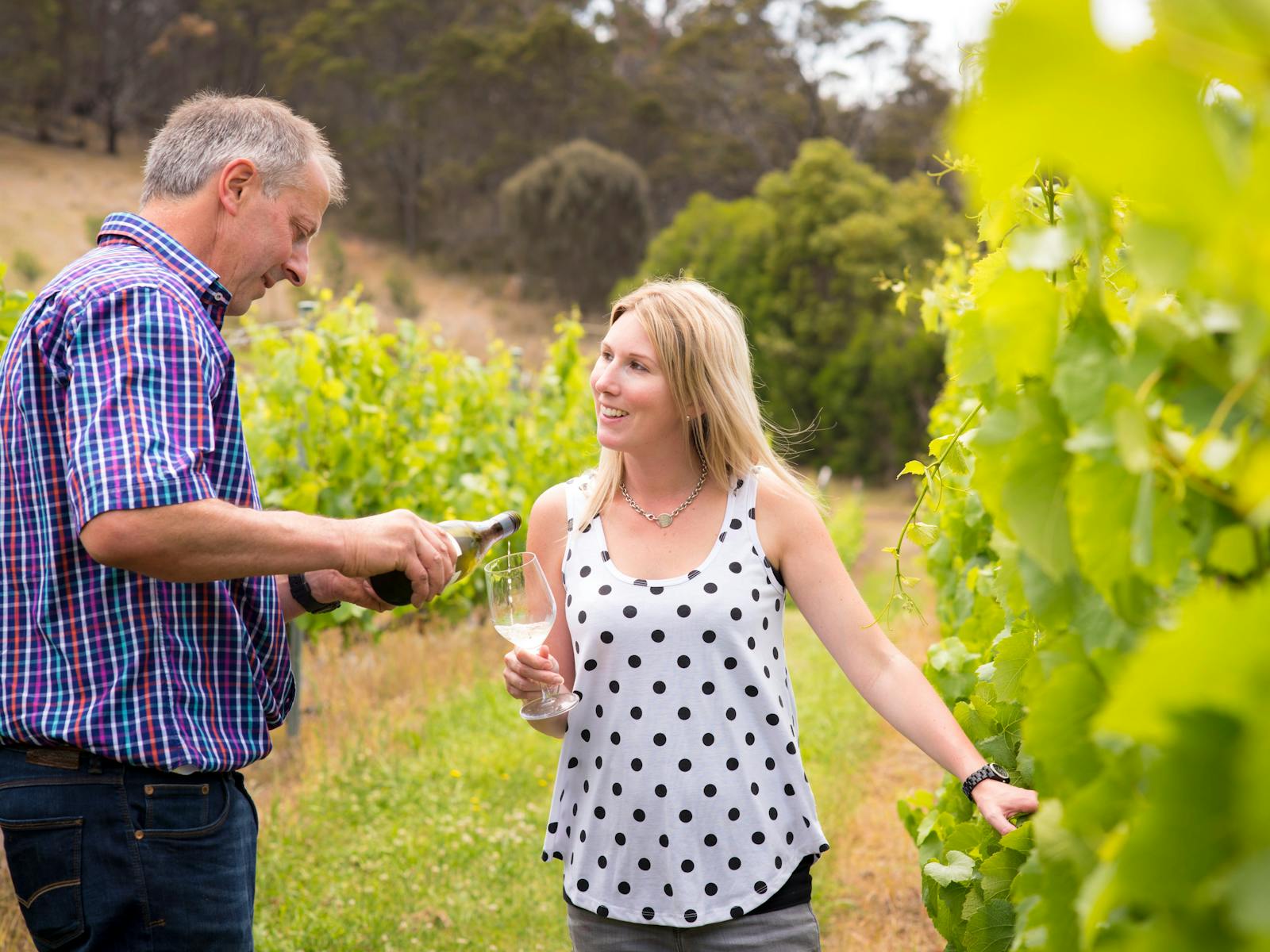 A man pouring a glass of wine for a woman in a spotted top, standing in between vineyard rows