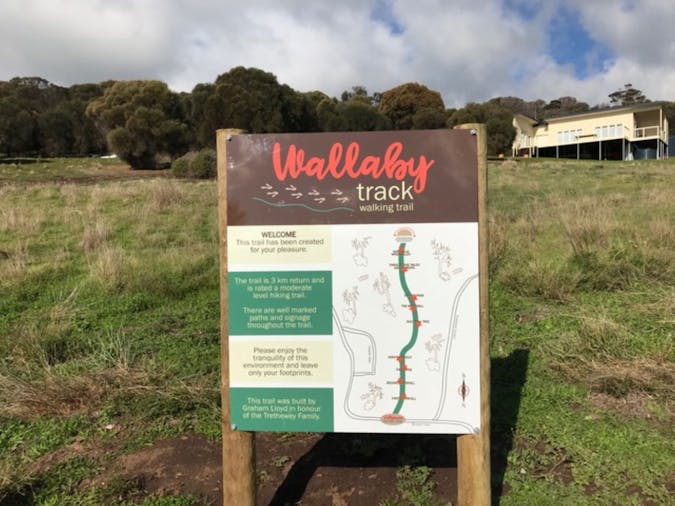 The Wallaby Track