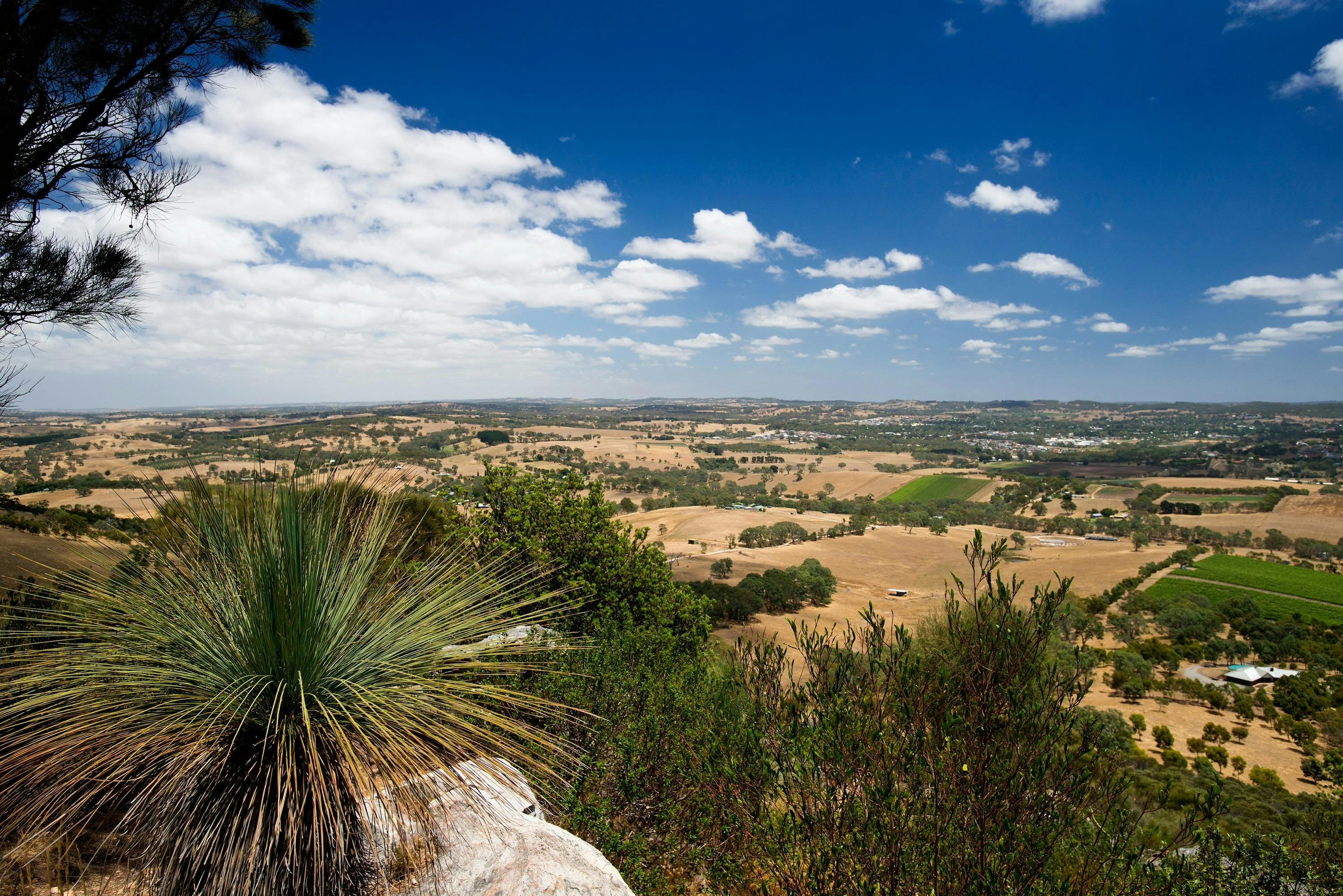Mount Barker Summit