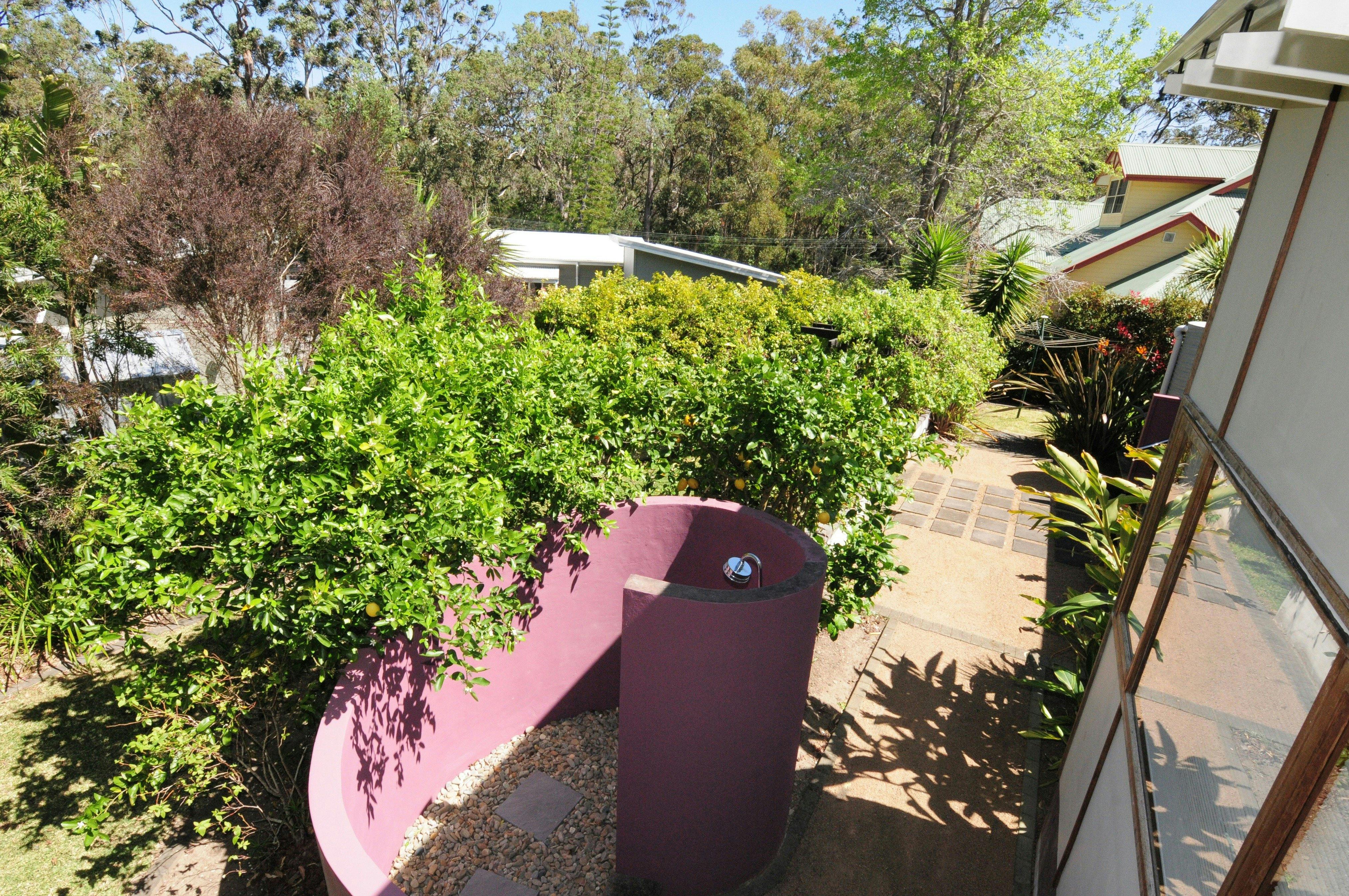 Oyster Catcher Jervis Bay Shoalhaven South Coast NSW