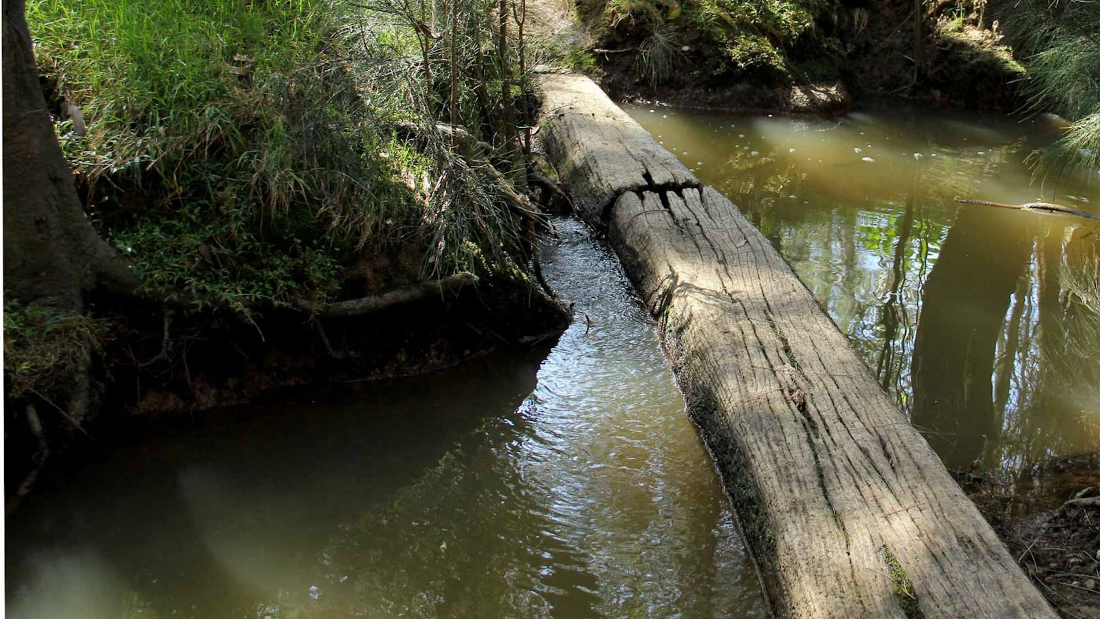 Second Ponds Creek Walk
