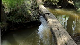 Second Ponds Creek Walk